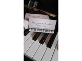частные уроки игры на фортепиано в Каннах